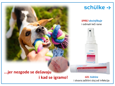 dog-play dog-play